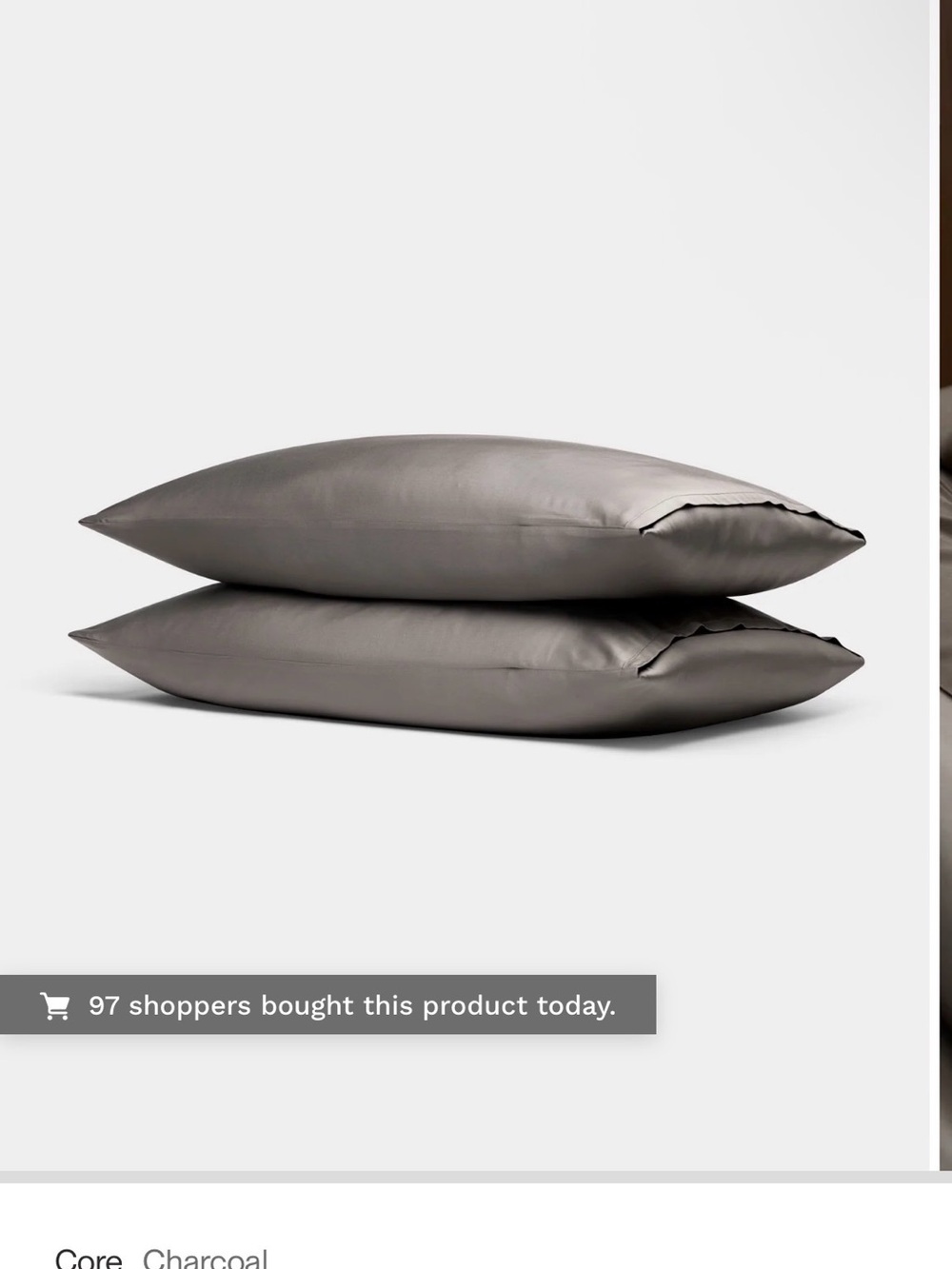 Cozy Earth Bamboo Pillowcase Pair - Two pack